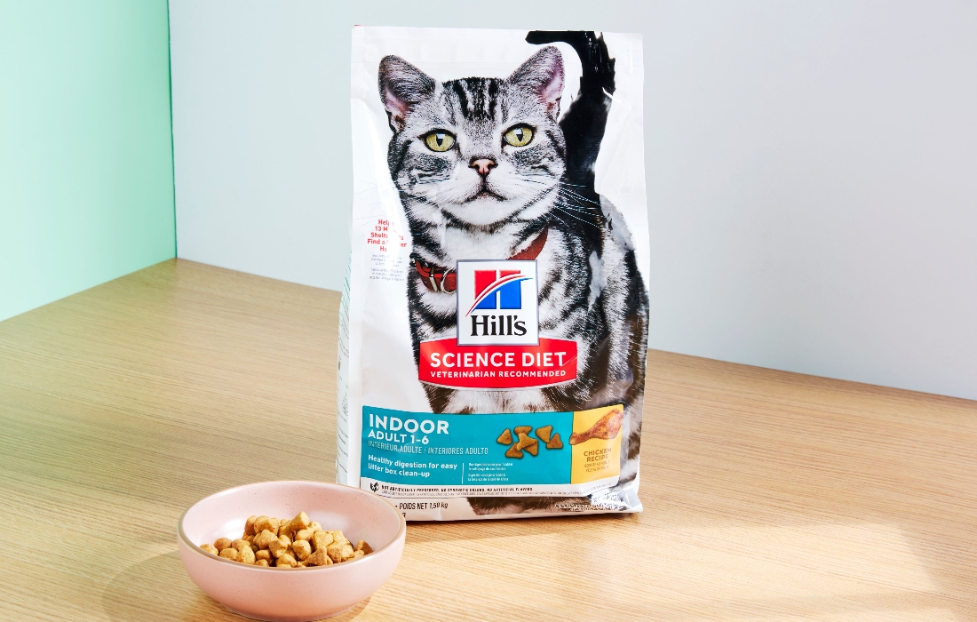 7 Best Cat Food For Your Feline
